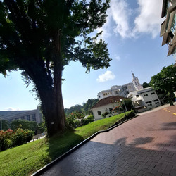 Hollywood Apartments (D9), Apartment #466005291